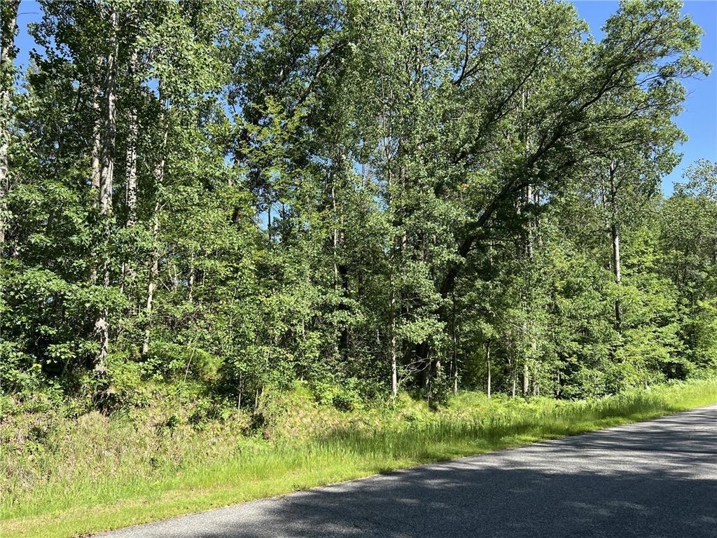 Lot 8 Terminal Road Breezy Point MN 56472 6736350 image3