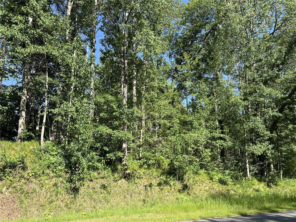 Lot 8 Terminal Road Breezy Point MN 56472 6736350 image4