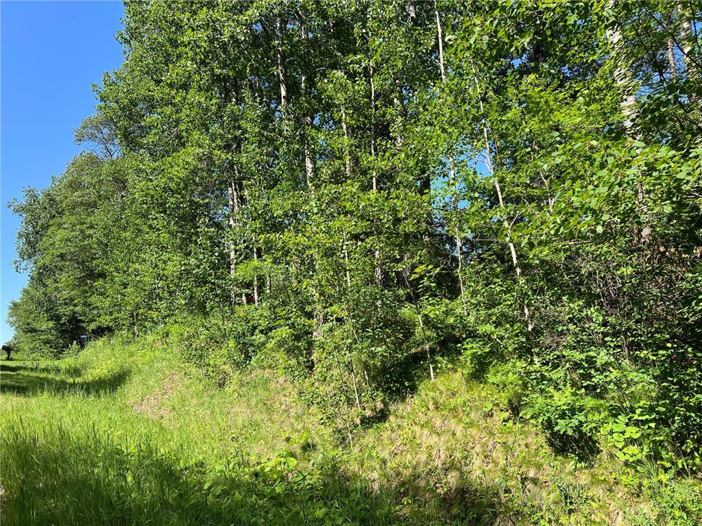 Lot 8 Terminal Road Breezy Point MN 56472 6736350 image6