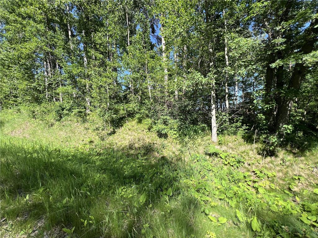 Lot 8 Terminal Road Breezy Point MN 56472 7088881 image13