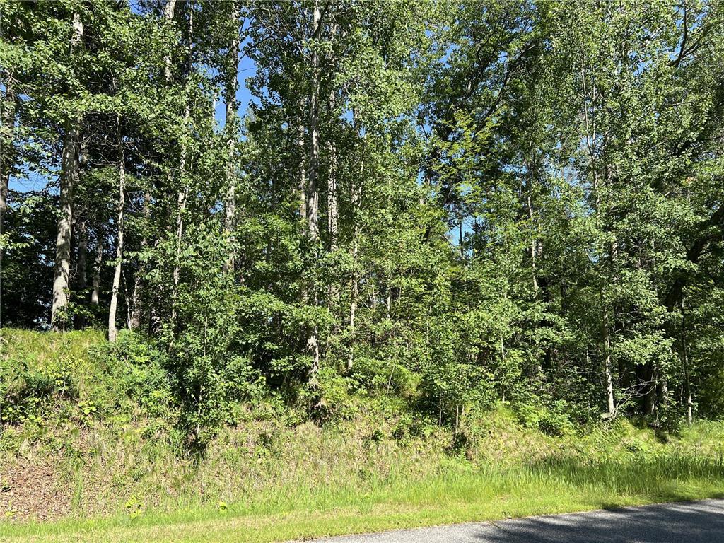 Lot 8 Terminal Road Breezy Point MN 56472 7088881 image2