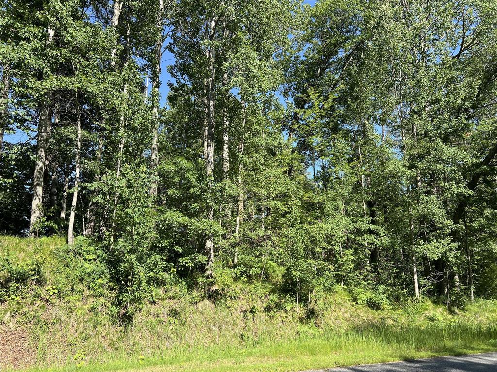 Lot 8 Terminal Road Breezy Point MN 56472 7088881 image4