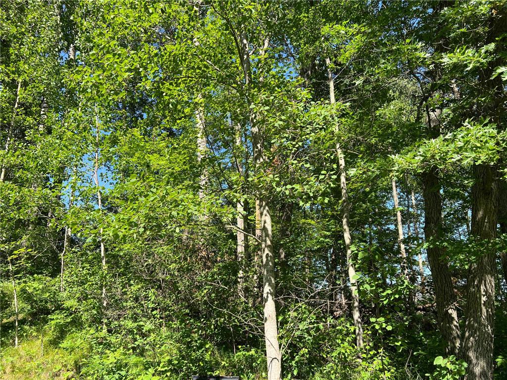 Lot 8 Terminal Road Breezy Point MN 56472 7088881 image5