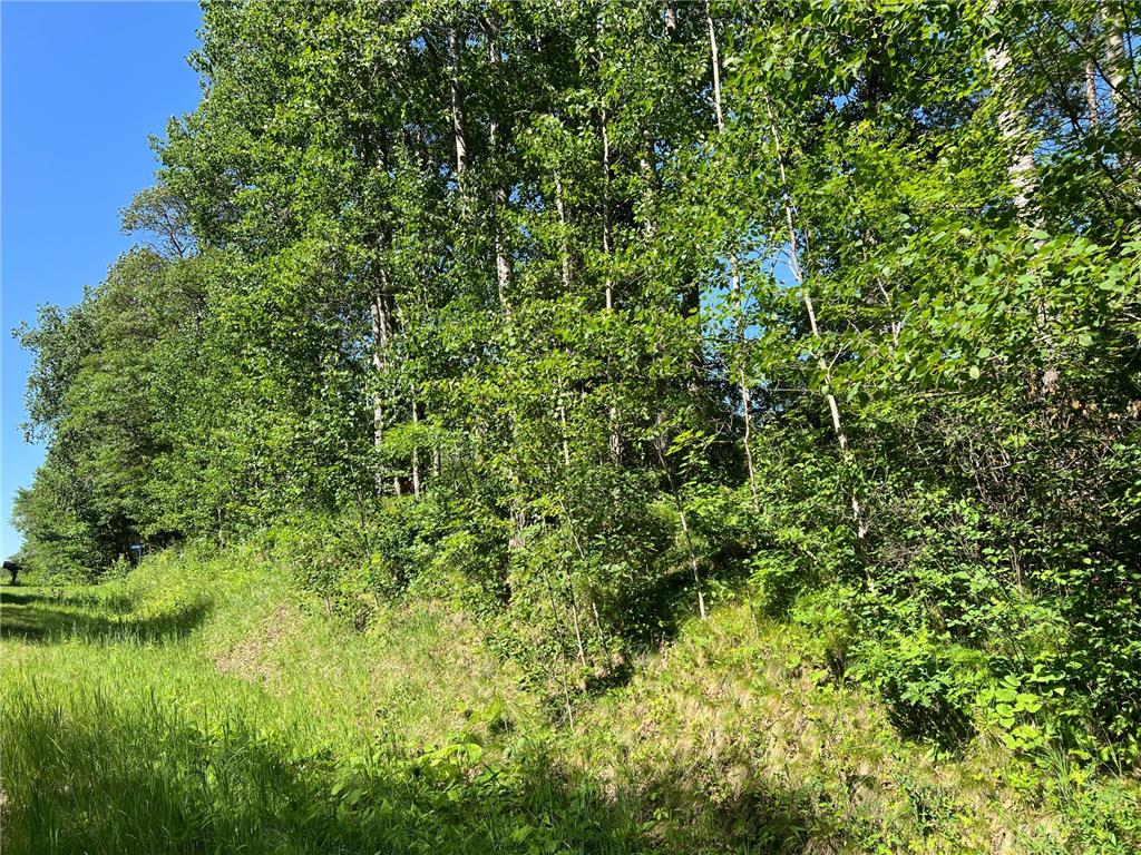 Lot 8 Terminal Road Breezy Point MN 56472 7088881 image6