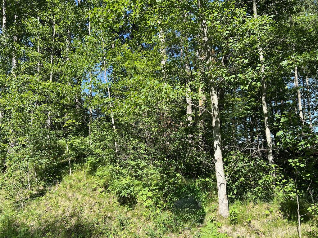 Lot 8 Terminal Road Breezy Point MN 56472 7088881 image7