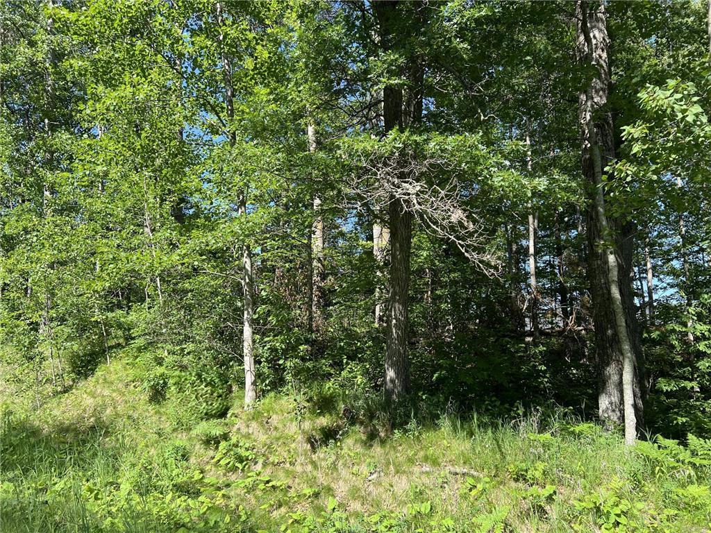 Lot 8 Terminal Road Breezy Point MN 56472 7088881 image8