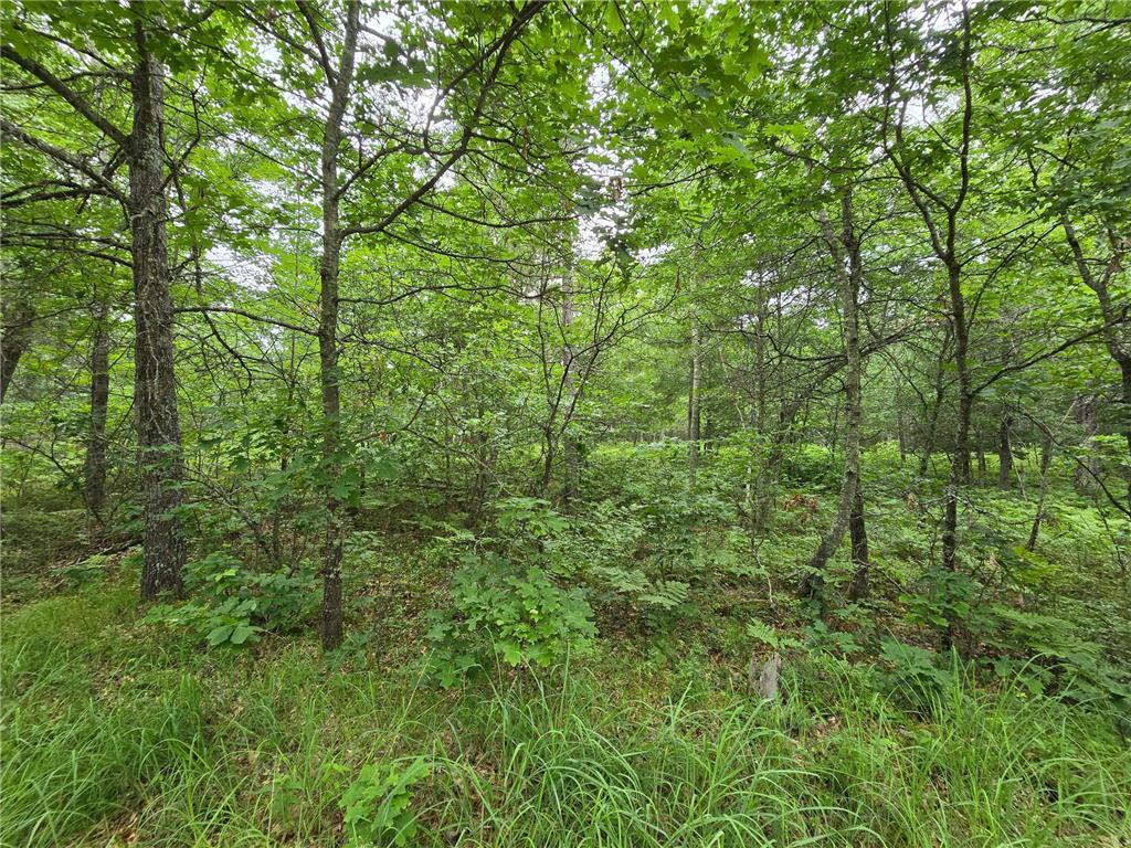 Lot 8 Saylors Lane Siren WI 54872 - Clam River 6546612 image1