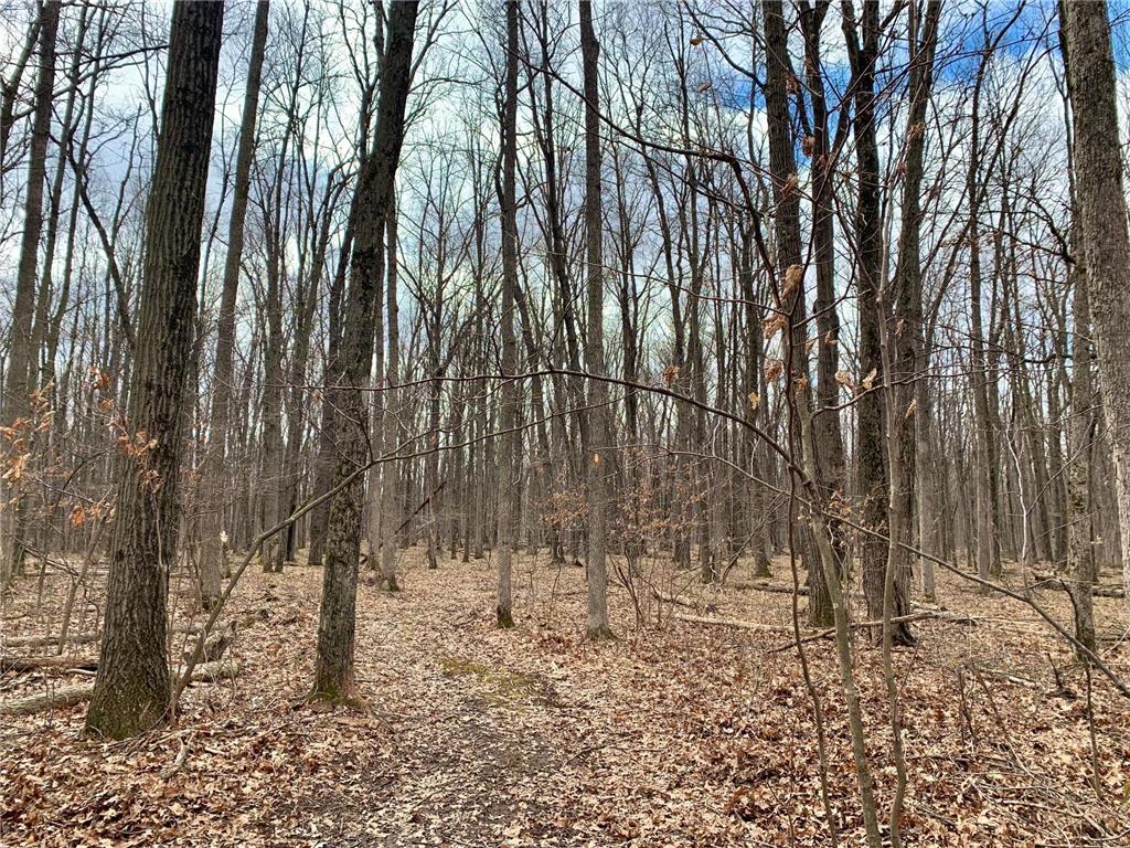 Lot 9 105th Avenue Anson Twp WI 54729 6189461 image1