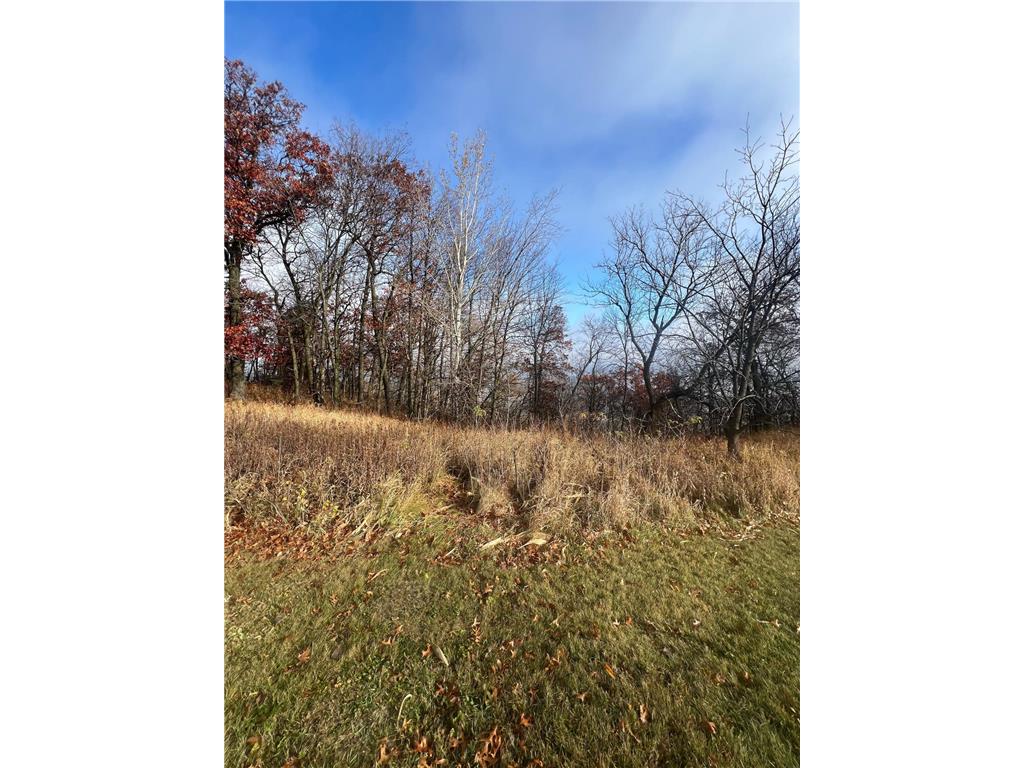Lot 9 177th Avenue Wabasha MN 55981 6627407 image12