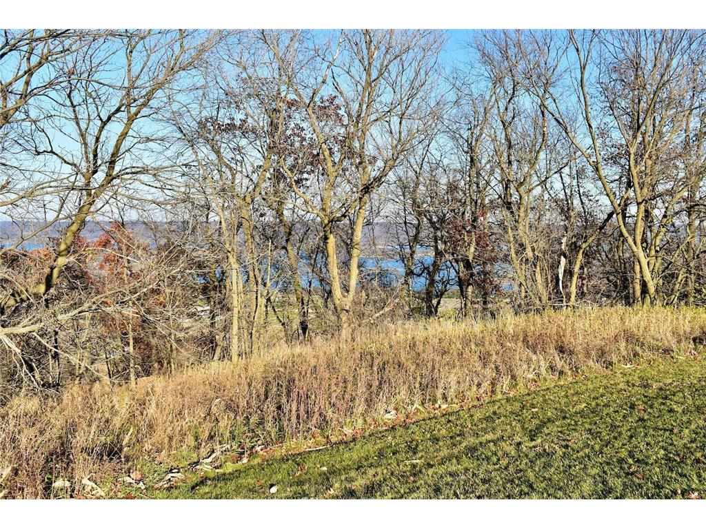 Lot 9 177th Avenue Wabasha MN 55981 6627407 image5