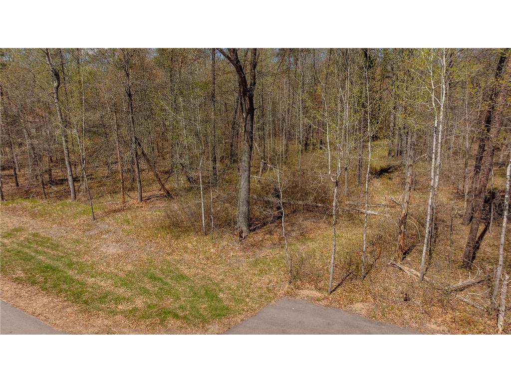 Lot 9 Black Oak Road Baxter MN 56425 7072993 image10