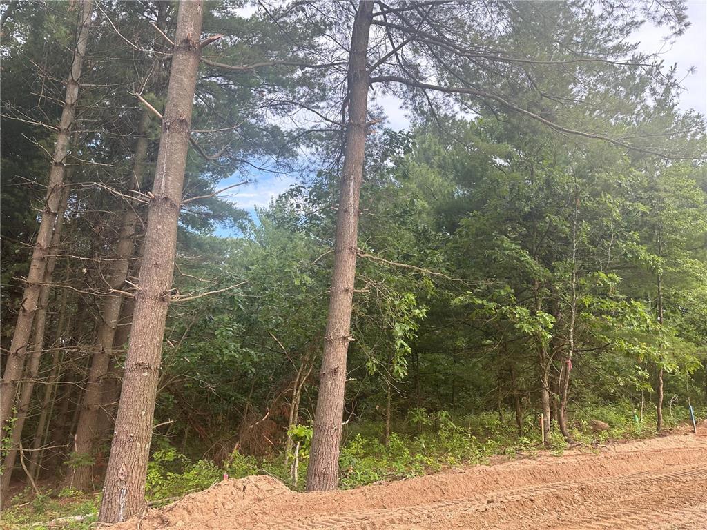 Lot 9 Blk 1 Brummer Drive Randall MN 56475 6593562 image1