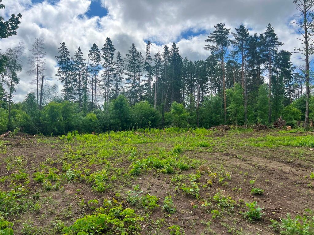 Lot 9 Blk 1 Isleview Road Grand Rapids MN 55744 7090453 image10