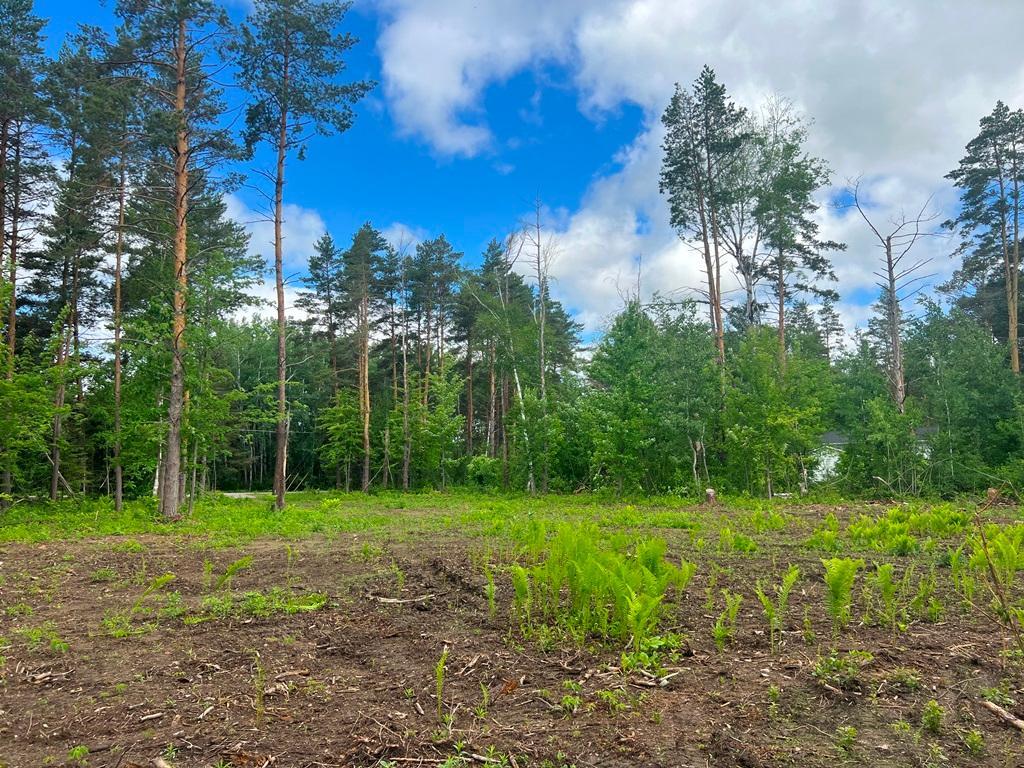 Lot 9 Blk 1 Isleview Road Grand Rapids MN 55744 7090453 image12
