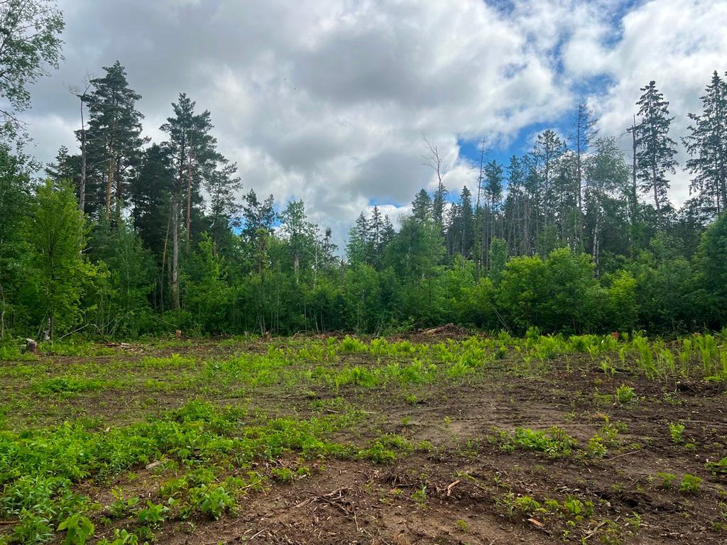 Lot 9 Blk 1 Isleview Road Grand Rapids MN 55744 7090453 image13