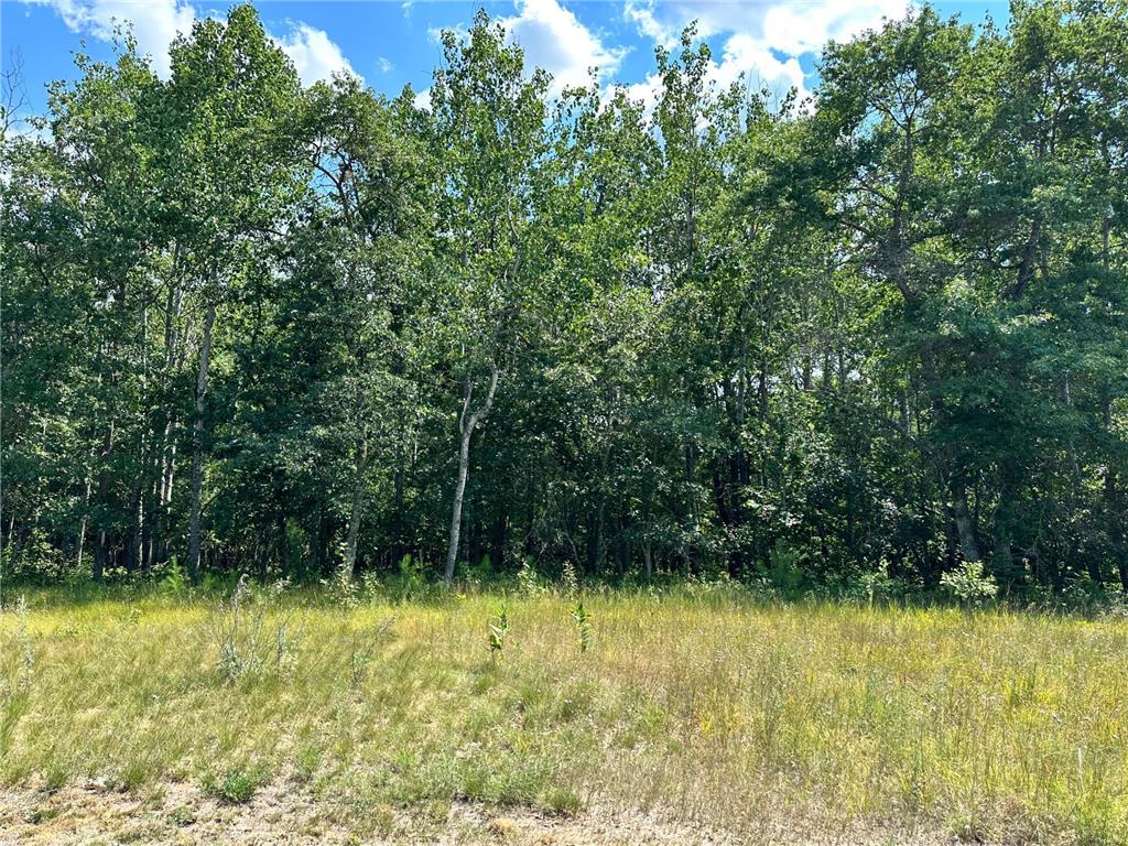 Lot 9 Explorer Circle Park Rapids MN 56470 6408346 image1