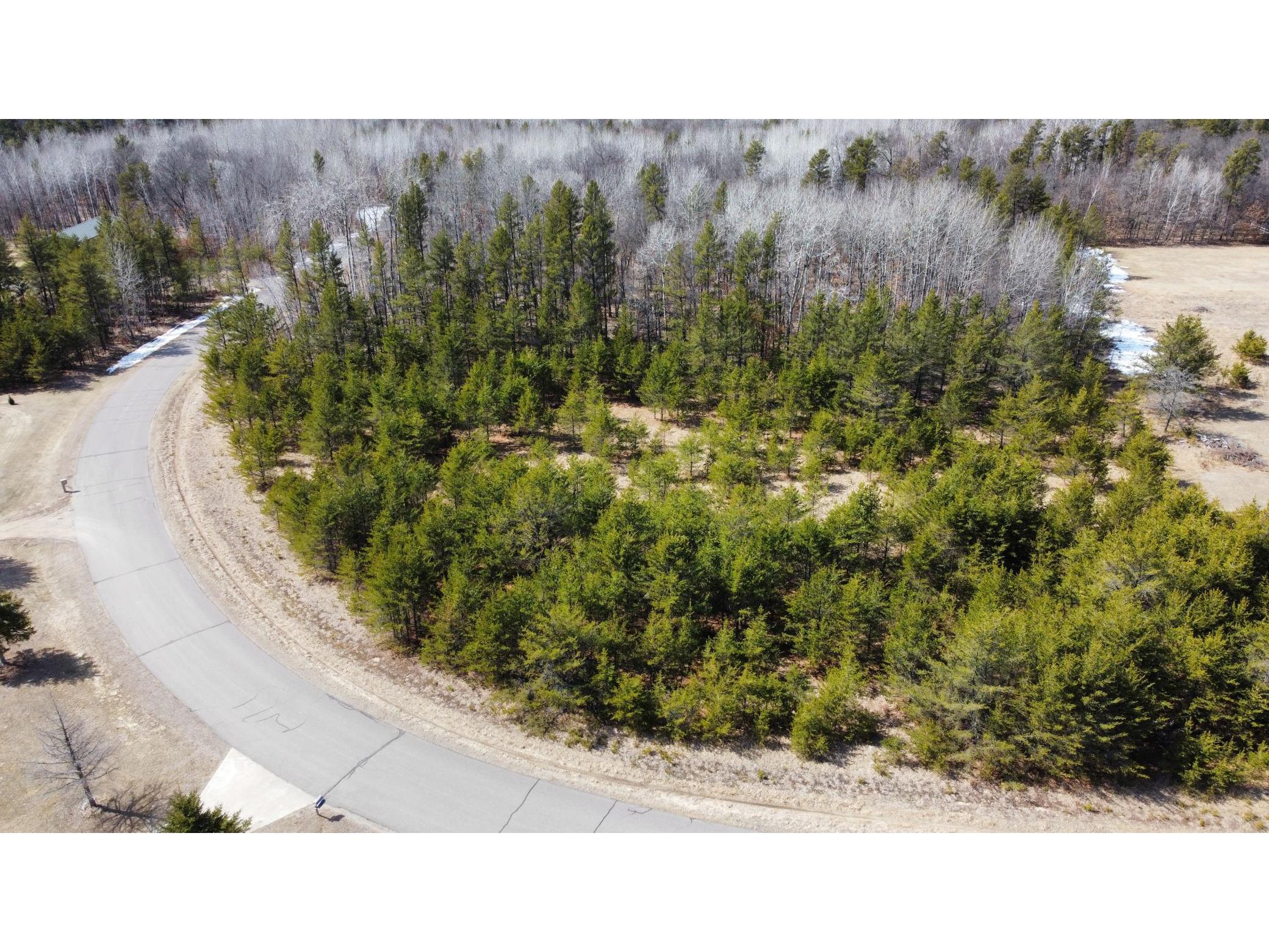 Lot 9 Home Place Drive Crow Wing Twp MN 56401 5730489 image1