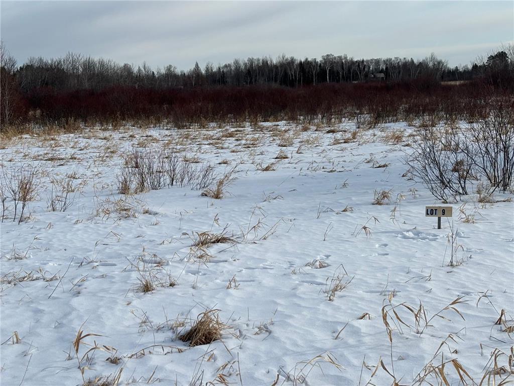 Lot 9 Irvine Avenue NW Bemidji MN 56601 7049075 image1