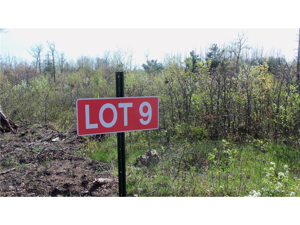 Lot 9 Twin Oaks Trl Grantsburg WI 54840 6381664 image1