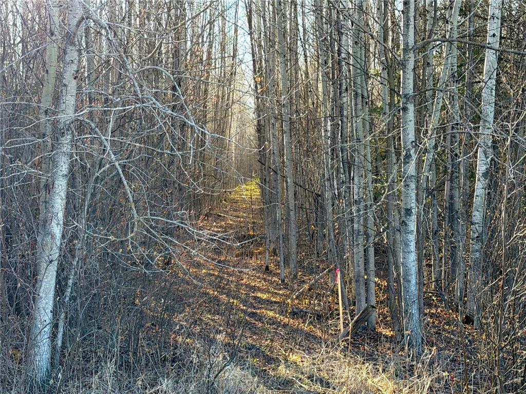 Lot A County Road 79 Littlefork MN 56653 - Little Fork River 7073065 image24