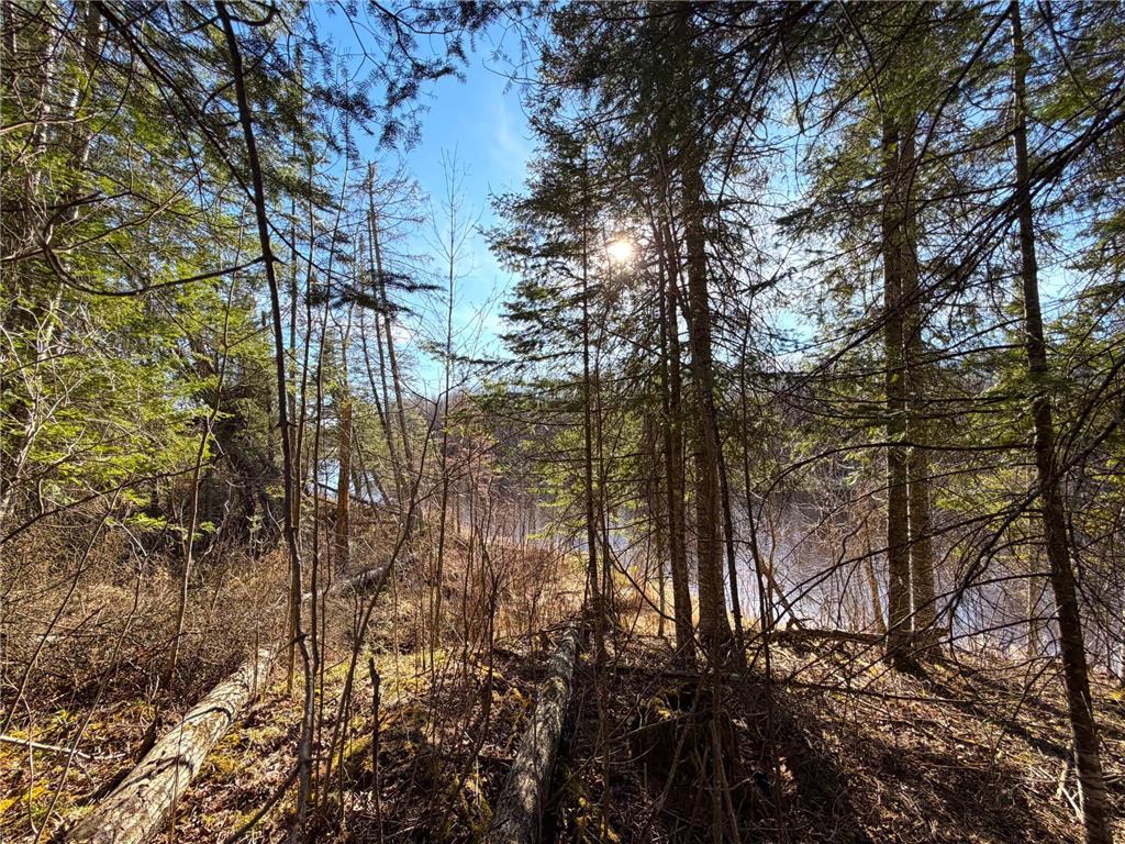Lot A County Road 79 Littlefork MN 56653 - Little Fork River 7073065 image34