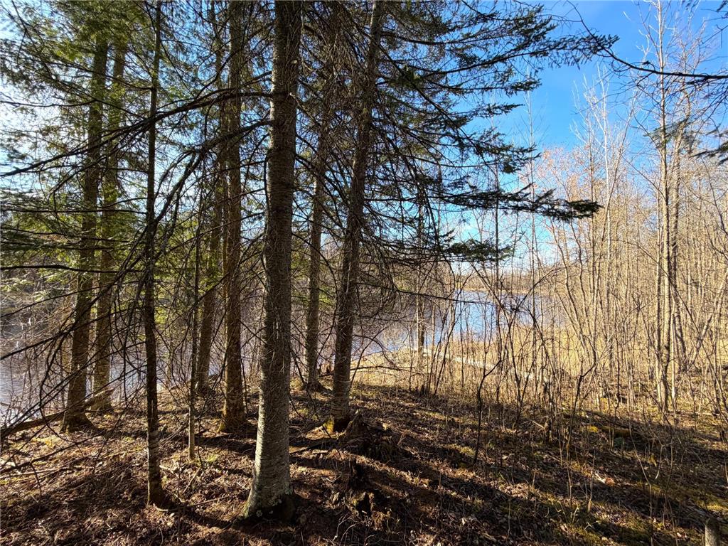 Lot A County Road 79 Littlefork MN 56653 - Little Fork River 7073065 image35