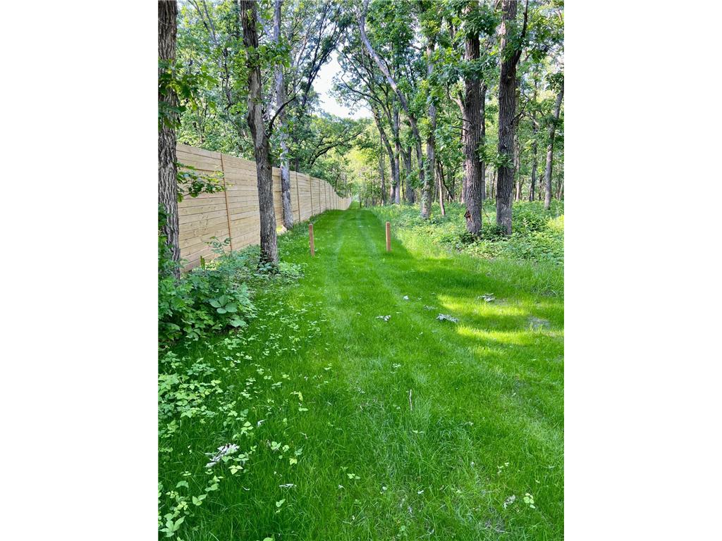 Lot A Norwood Lane Battle Lake MN 56515 - Otter Tail 6649945 image3