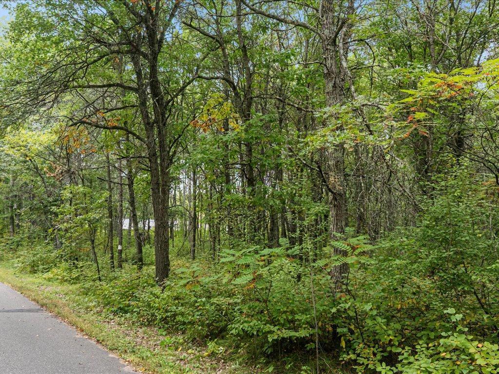 Lot A Sandbar Lane Mission Twp MN 56465 6799624 image13