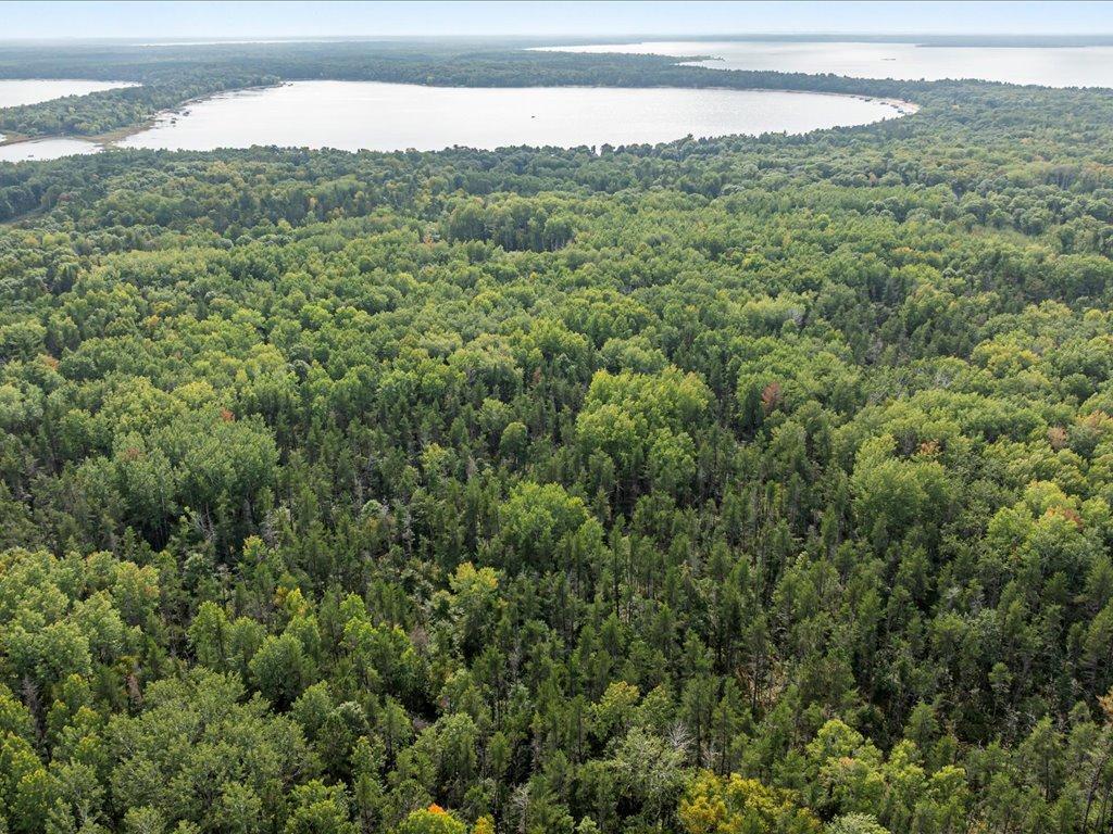 Lot A Sandbar Lane Mission Twp MN 56465 6799624 image3