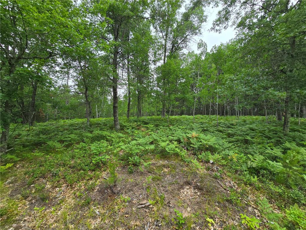 Lot A Saylors Lane Siren WI 54872 - Clam River 6554102 image1