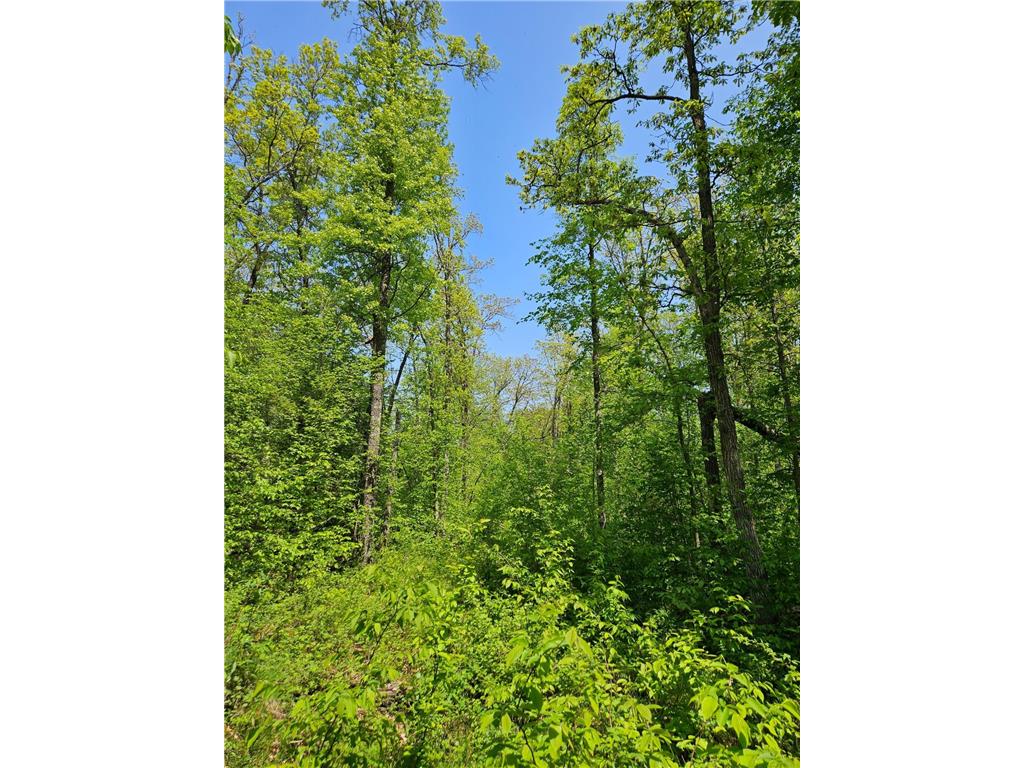 Lot A tbd Fireweed Court Mission Twp MN 56442 6380843 image1