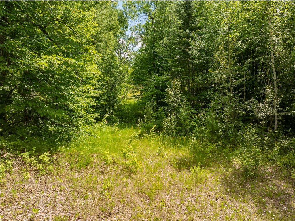Lot B County Rd 238 Deer River Twp MN 56636 7095806 image7