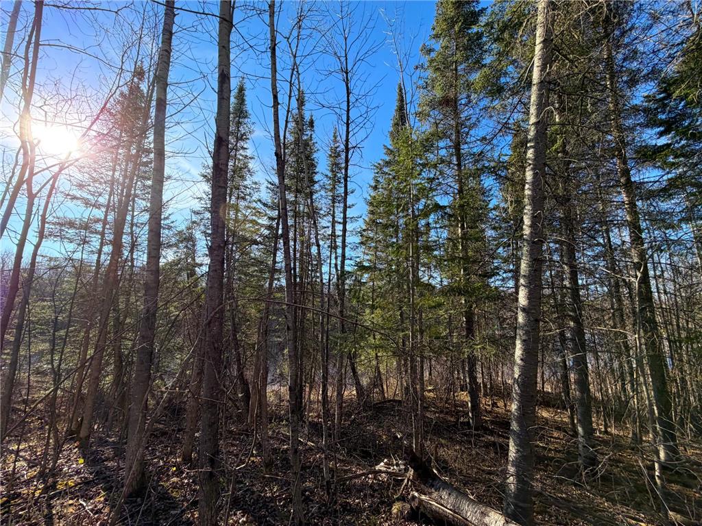 Lot B County Road 79 Littlefork MN 56653 - Little Fork River 7073831 image15