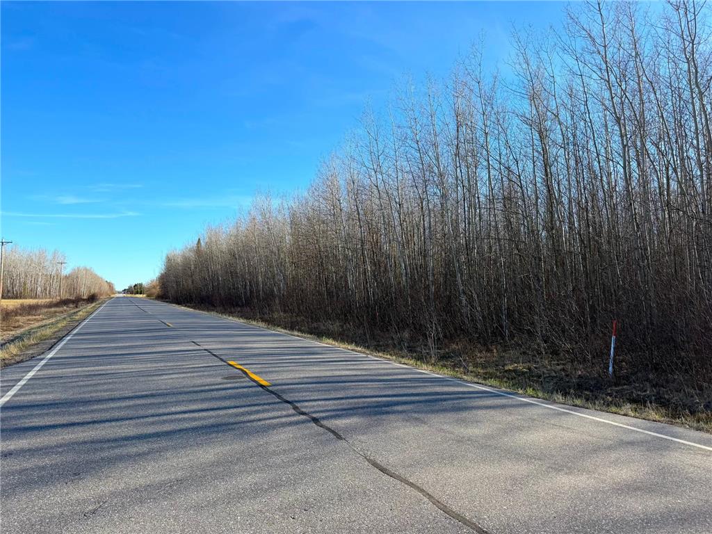 Lot B County Road 79 Littlefork MN 56653 - Little Fork River 7073831 image37