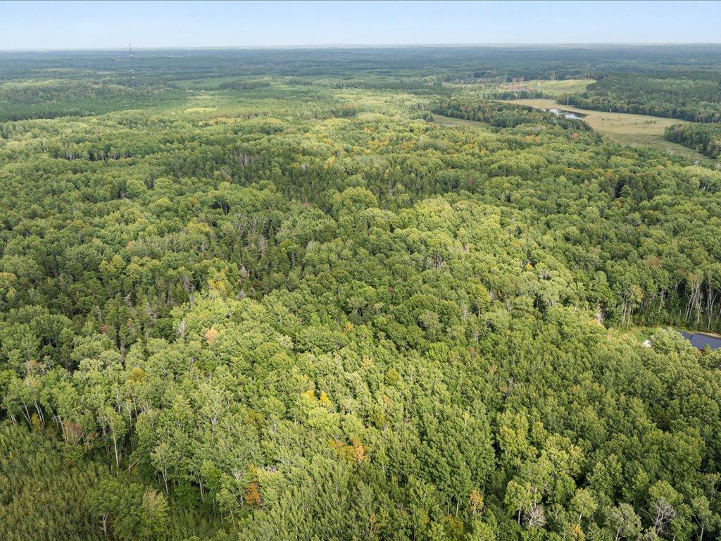 Lot B Sandbar Lane Mission Twp MN 56465 6819839 image5