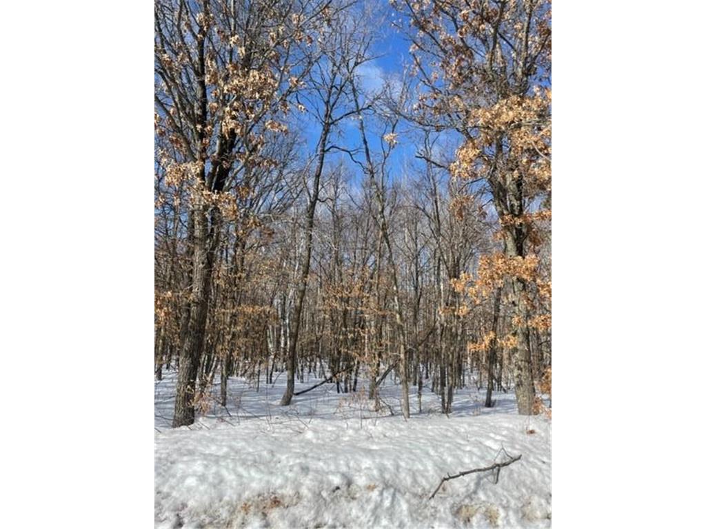 Lot B Silver Sands Road Pine River MN 56474 6347287 image1