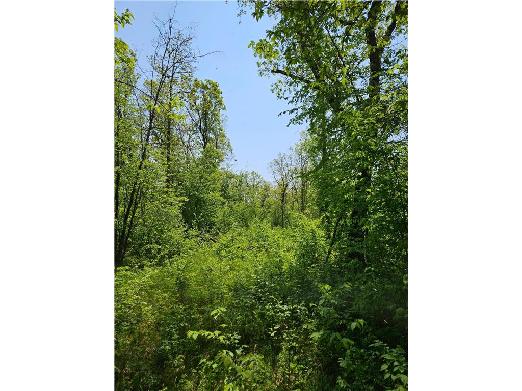 Lot B tbd Fireweed Court Mission Twp MN 56442 6380858 image1