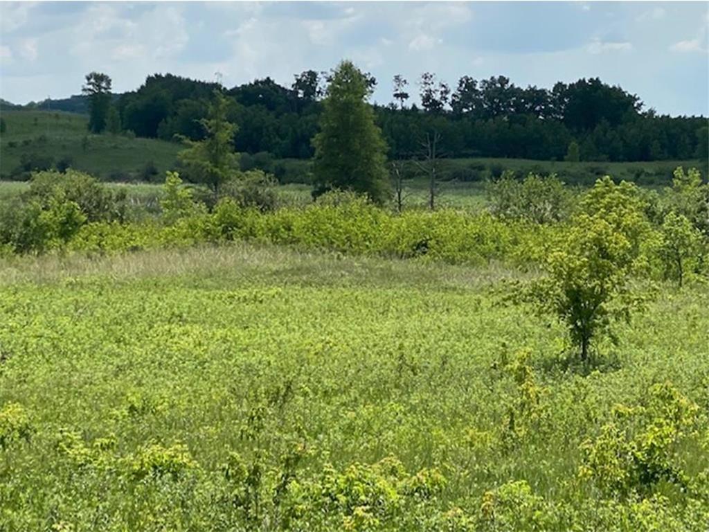 Lot C 113th Street Ashby MN 56309 6688538 image12