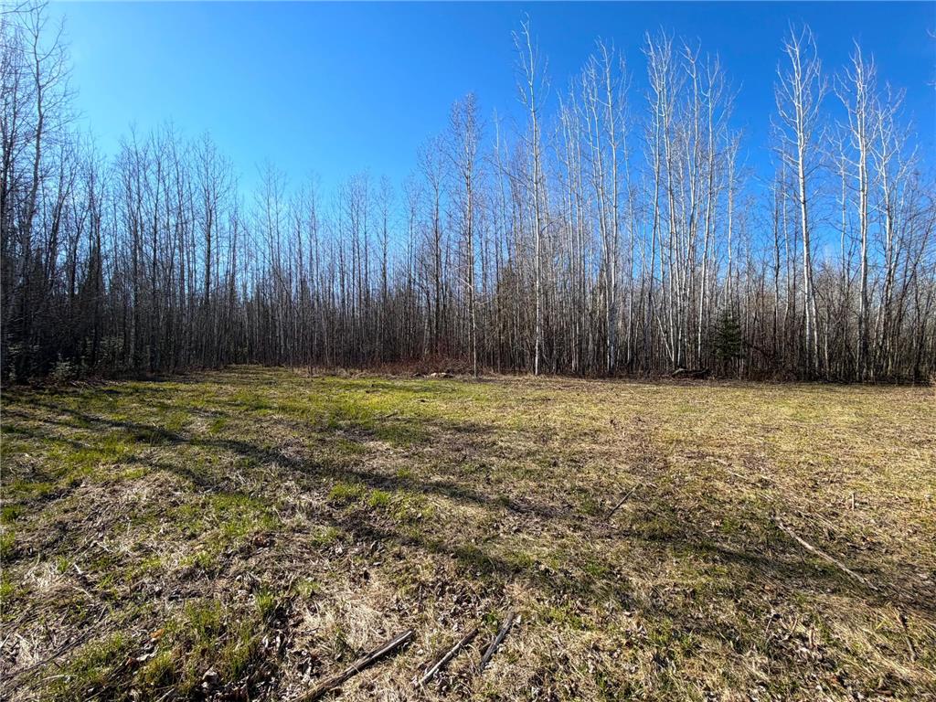 Lot C County Road 79 Littlefork MN 56653 - Little Fork River 7073833 image16