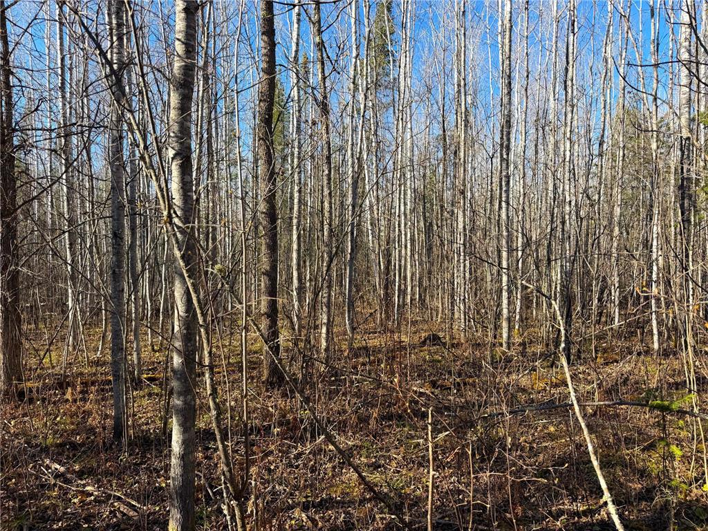 Lot C County Road 79 Littlefork MN 56653 - Little Fork River 7073833 image21