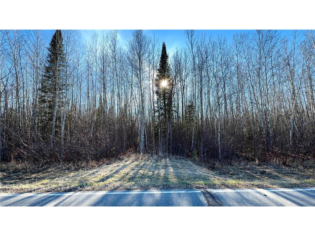 Lot C County Road 79 Littlefork MN 56653 - Little Fork River 7073833 image41