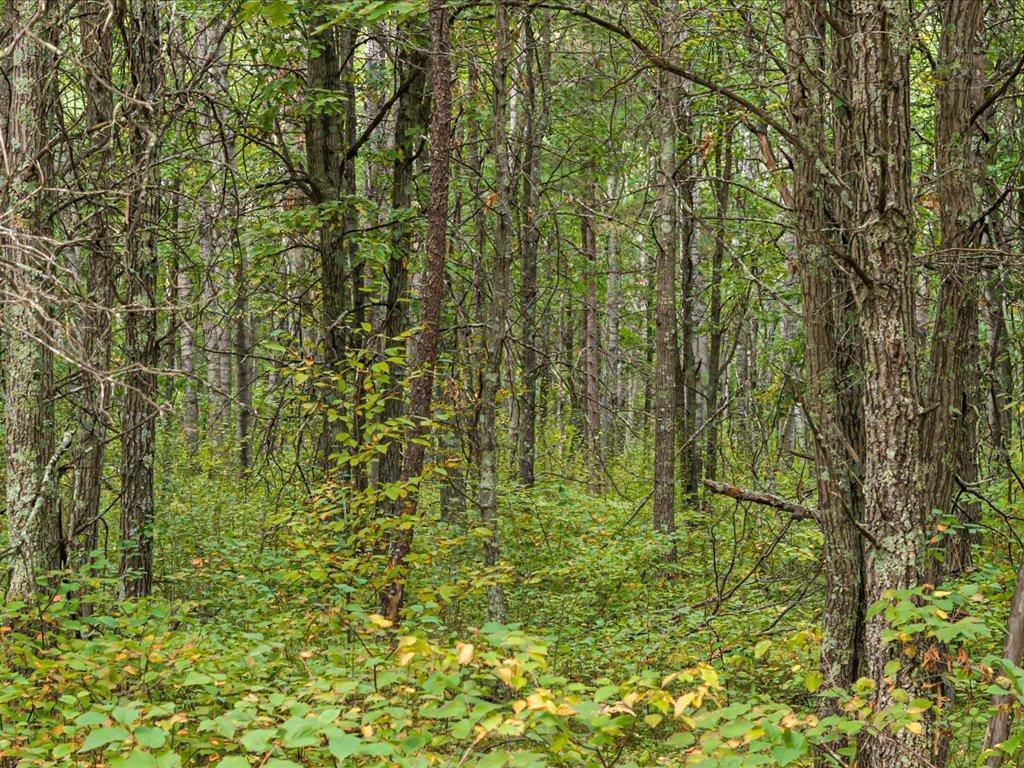 Lot C Sandbar Lane Mission Twp MN 56465 7063114 image1