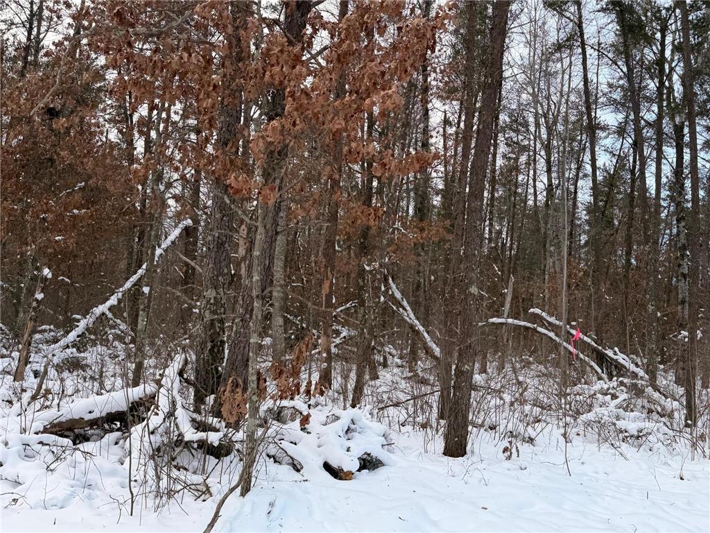 Lot C Sandbar Lane Mission Twp MN 56465 7063114 image20