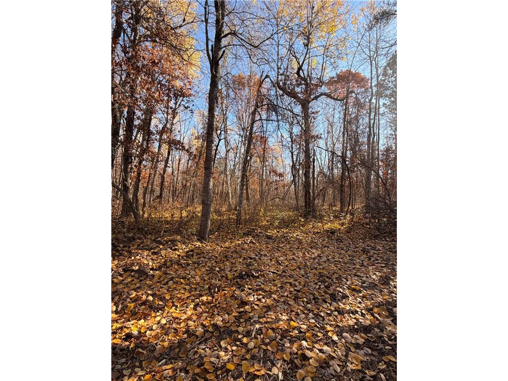 Lot C Sandbar Lane Mission Twp MN 56465 7063114 image22