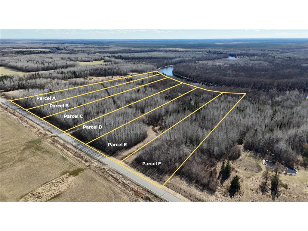 Lot D County Road 79 Littlefork MN 56653 - Little Fork River 7073834 image13