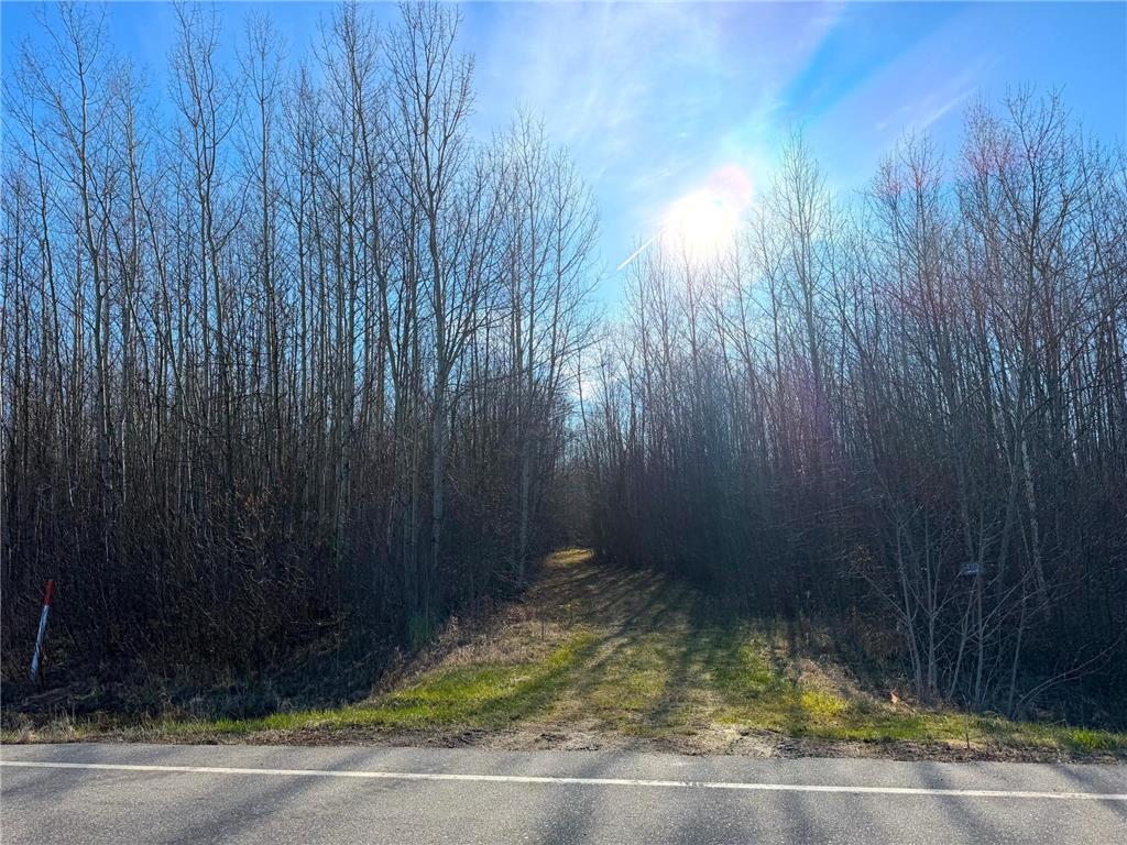 Lot D County Road 79 Littlefork MN 56653 - Little Fork River 7073834 image41