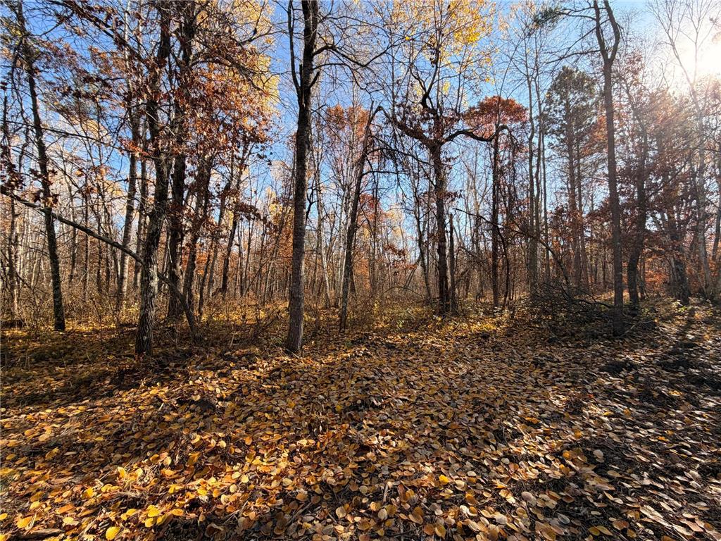Lot D Sandbar Lane Mission Twp MN 56465 7023220 image23