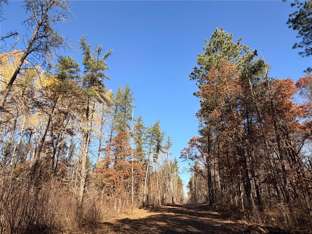 Lot D Sandbar Lane Mission Twp MN 56465 7023220 image24