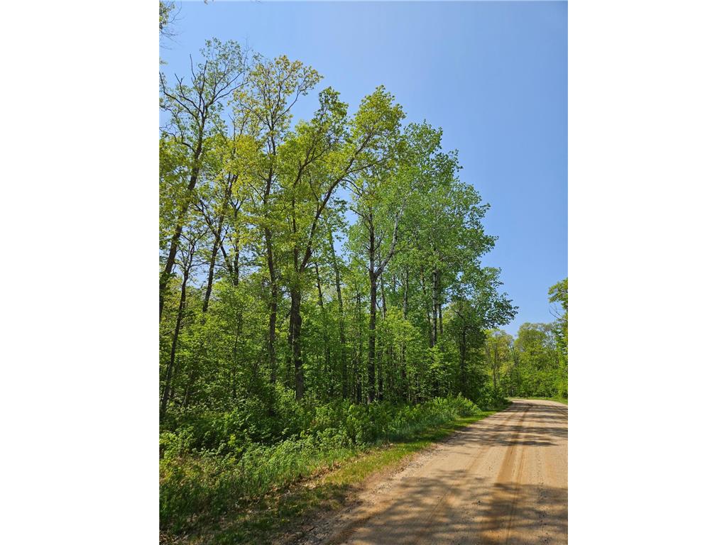Lot D tbd Fireweed Court Mission Twp MN 56442 6380872 image1