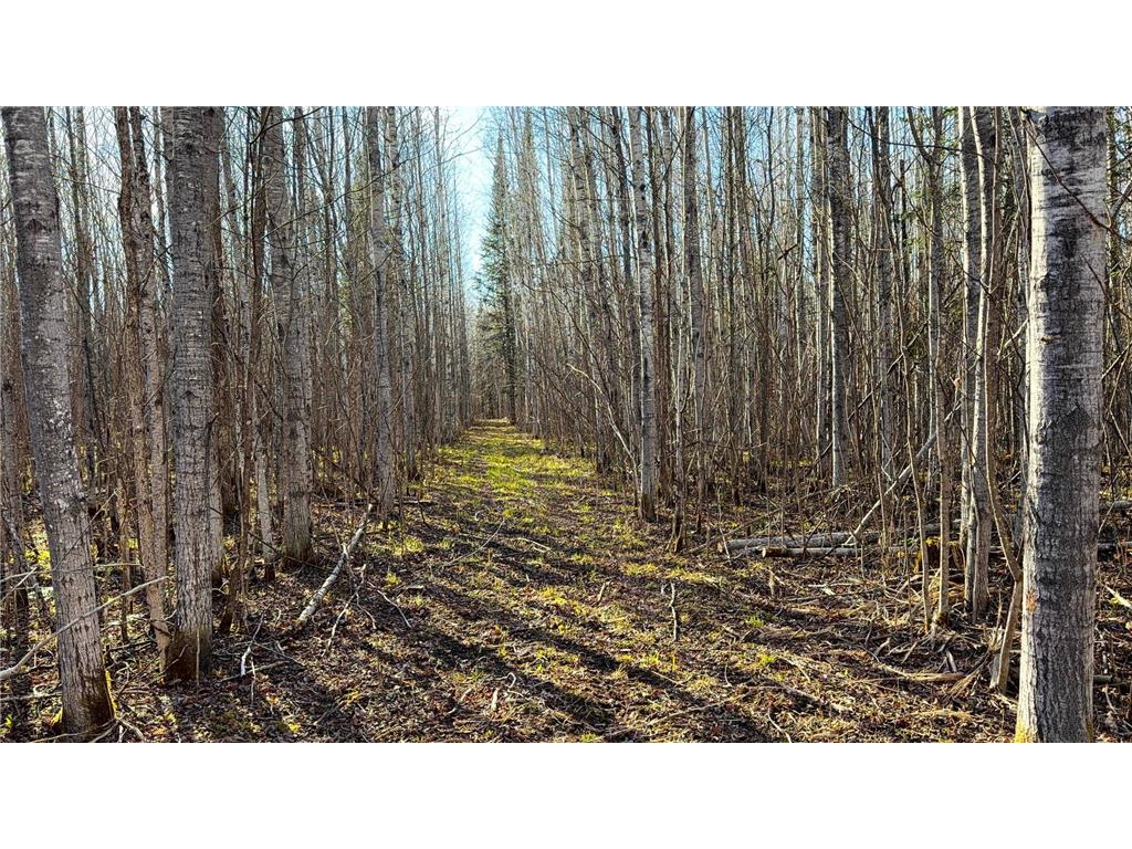 Lot E County Road 79 Littlefork MN 56653 - Little Fork River 7073837 image11